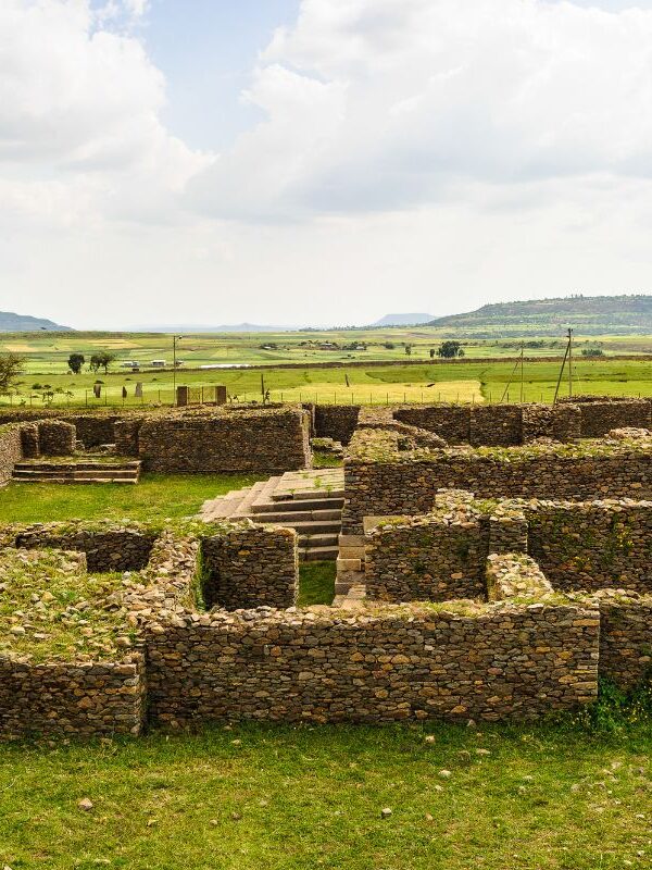 xr:d:DAFcD9snO54:2024,j:1618776423,t:23032715