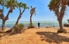 21679cd6-0c61-41ae-9ec0-fe8656b0771b