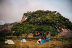 9d8afed0-ab51-4bed-8eb6-01b178444f1d